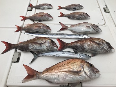 フィシングボートAir(エアー) 釣果