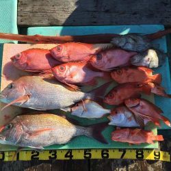 三吉丸 釣果