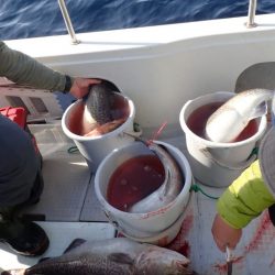 Aquanaut(アクアノート) 釣果