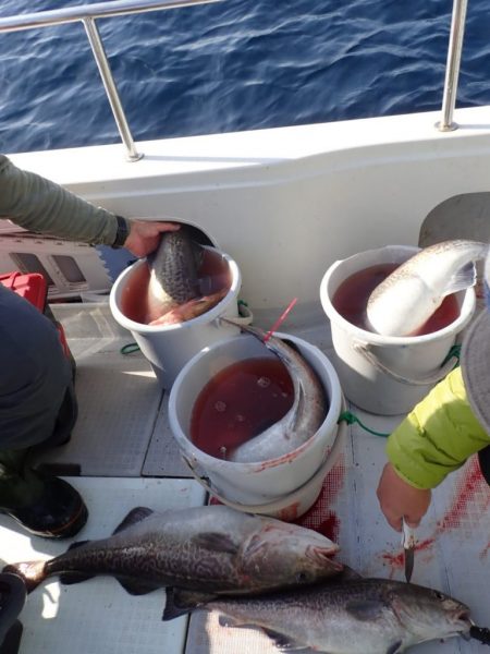 Aquanaut(アクアノート) 釣果