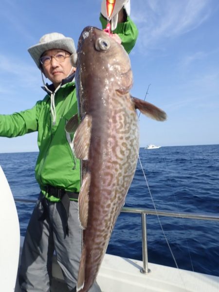 Aquanaut（アクアノート） 釣果