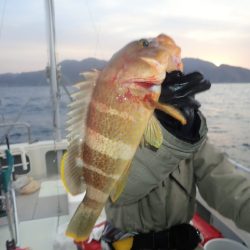 Aquanaut(アクアノート) 釣果