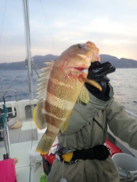 Aquanaut(アクアノート) 釣果