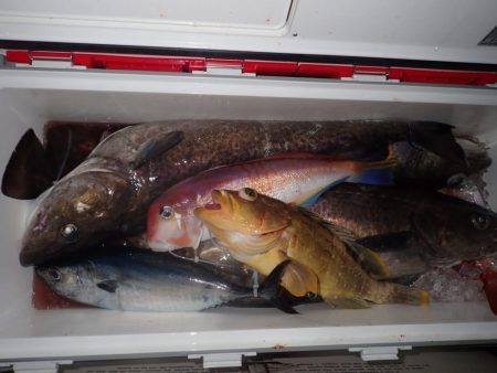 Aquanaut(アクアノート) 釣果