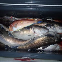 Aquanaut(アクアノート) 釣果