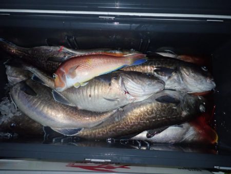 Aquanaut(アクアノート) 釣果