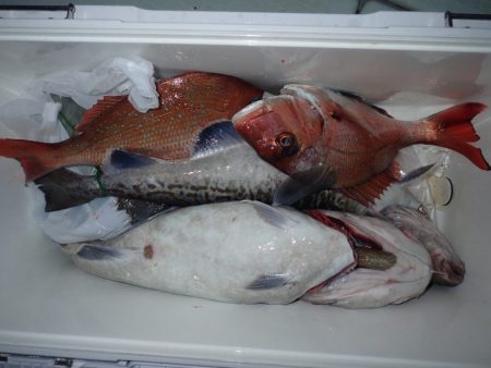 Aquanaut(アクアノート) 釣果