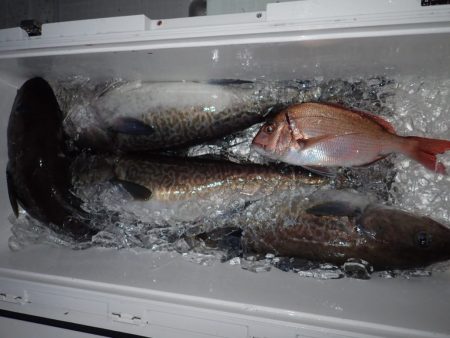 Aquanaut(アクアノート) 釣果