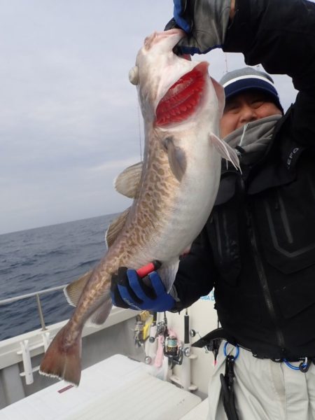 Aquanaut（アクアノート） 釣果