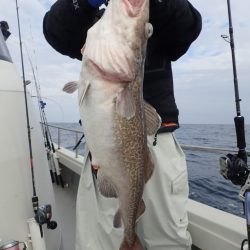 Aquanaut（アクアノート） 釣果