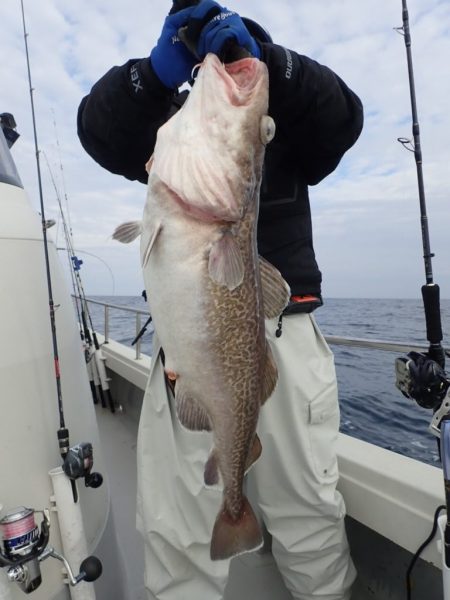 Aquanaut（アクアノート） 釣果