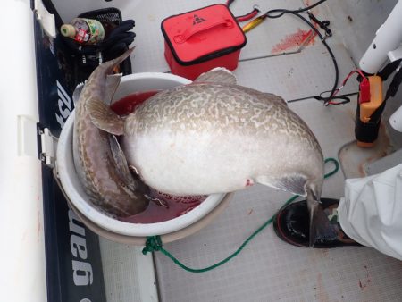 Aquanaut（アクアノート） 釣果