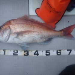 Aquanaut（アクアノート） 釣果