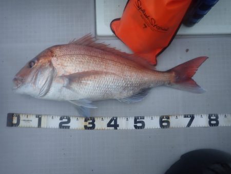 Aquanaut（アクアノート） 釣果