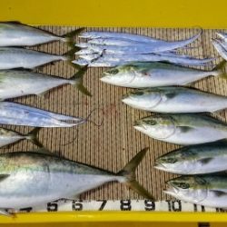 火遠理丸（ほおりまる） 釣果