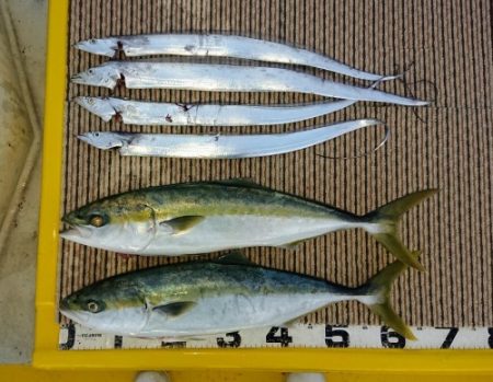 火遠理丸（ほおりまる） 釣果