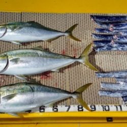 火遠理丸（ほおりまる） 釣果