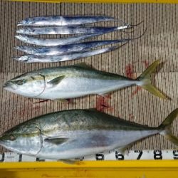 火遠理丸（ほおりまる） 釣果