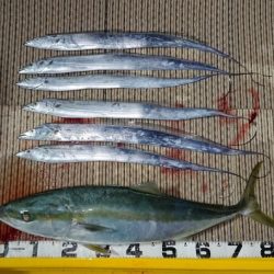 火遠理丸（ほおりまる） 釣果