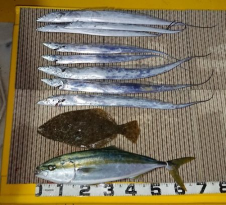 火遠理丸（ほおりまる） 釣果