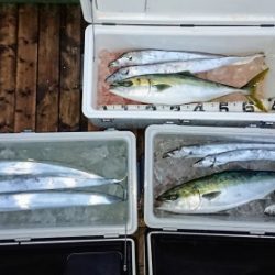 火遠理丸（ほおりまる） 釣果