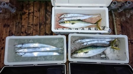 火遠理丸（ほおりまる） 釣果