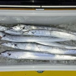 火遠理丸（ほおりまる） 釣果