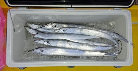 火遠理丸（ほおりまる） 釣果