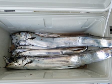 遊漁船　ニライカナイ 釣果