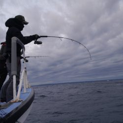松鶴丸 釣果