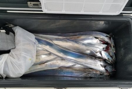 遊漁船　ニライカナイ 釣果