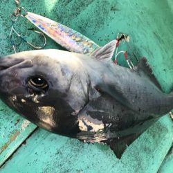 広進丸 釣果
