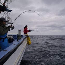 松鶴丸 釣果