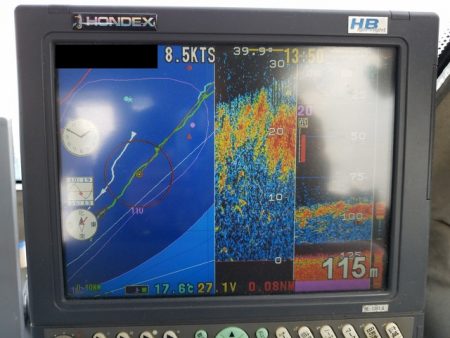 遊漁船　ニライカナイ 釣果