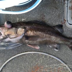 へいみつ丸 釣果