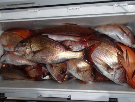 第二むつ漁丸 釣果