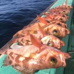 広進丸 釣果