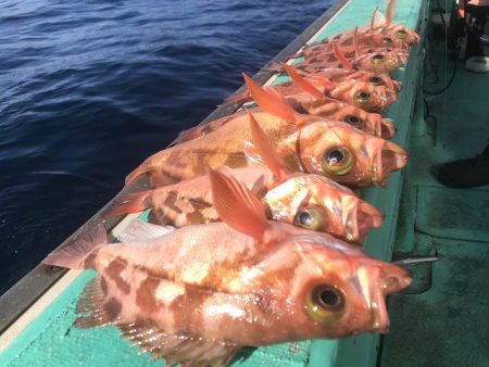 広進丸 釣果