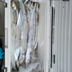 遊漁船 ニライカナイ 釣果