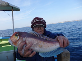 久里浜黒川本家 釣果