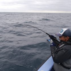 松鶴丸 釣果
