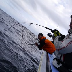 松鶴丸 釣果