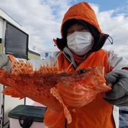 しまや丸 釣果