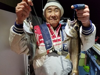 しまや丸 釣果