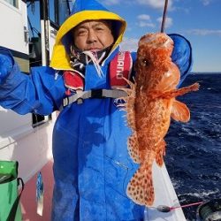 しまや丸 釣果