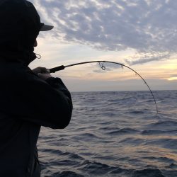 松鶴丸 釣果