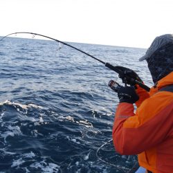 松鶴丸 釣果