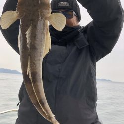 Magic(マジック) 釣果