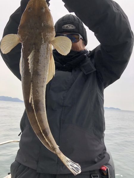 Magic(マジック) 釣果