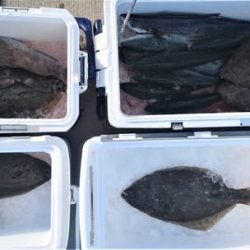 気仙沼　つり丸 釣果